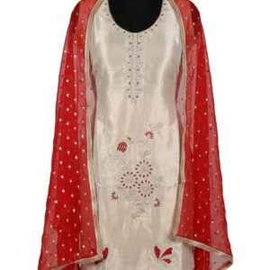 Elegant Silver-Grey Tissue Silk Salwar Kameez with Crimson Dupatta