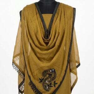 Beige & Crimson Elegance: Organza Suit with Ornate Paisley Art